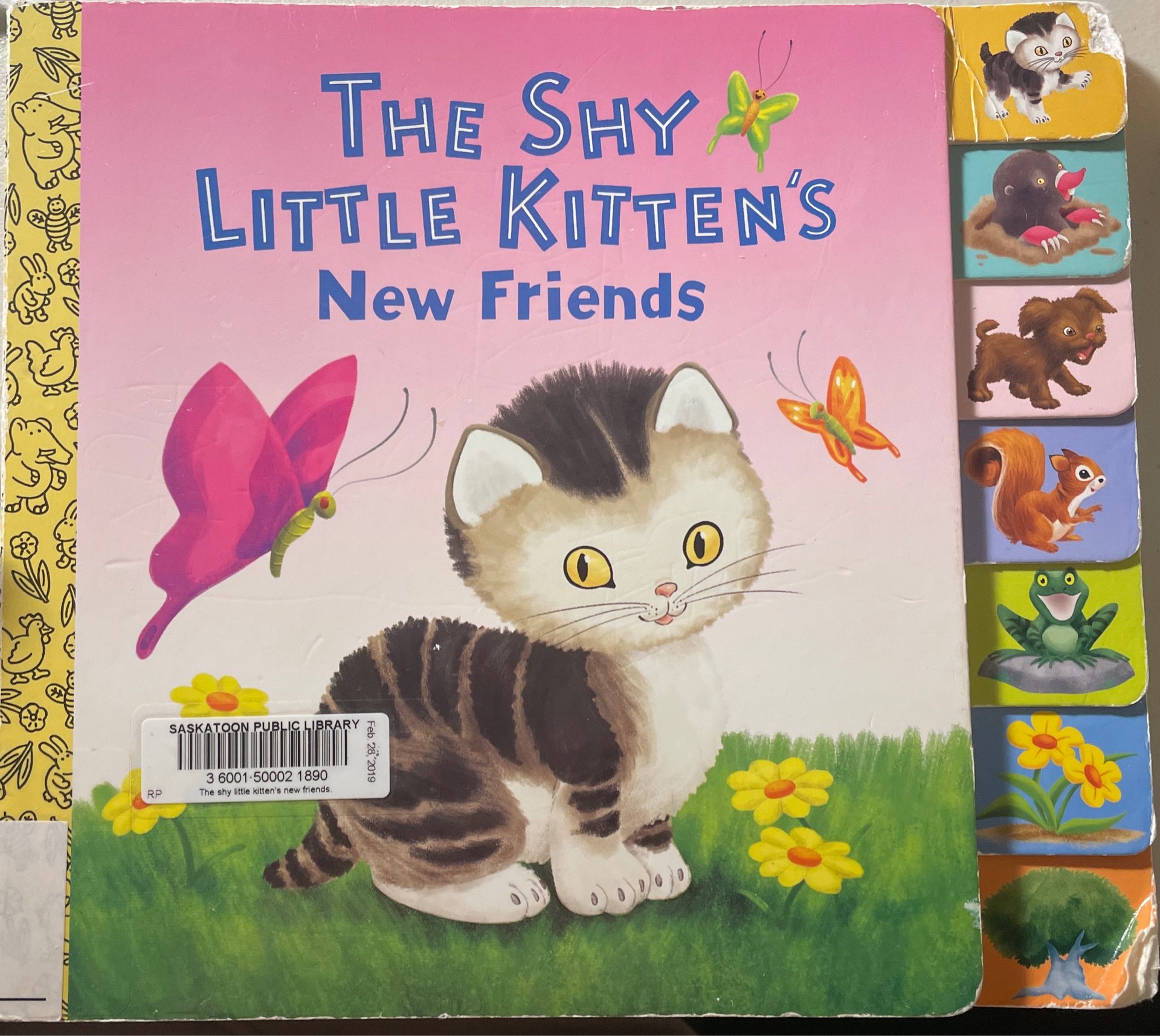 The shy little kitten's new friends