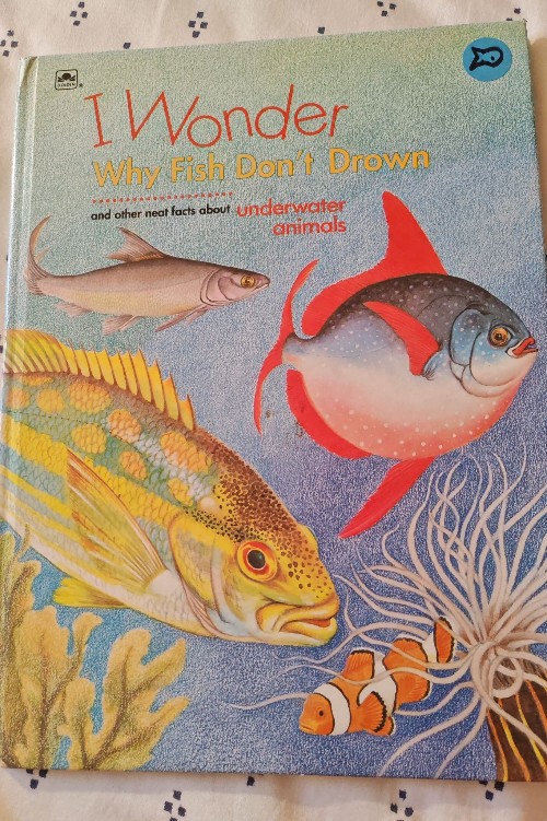 i wonder why fish don't drown