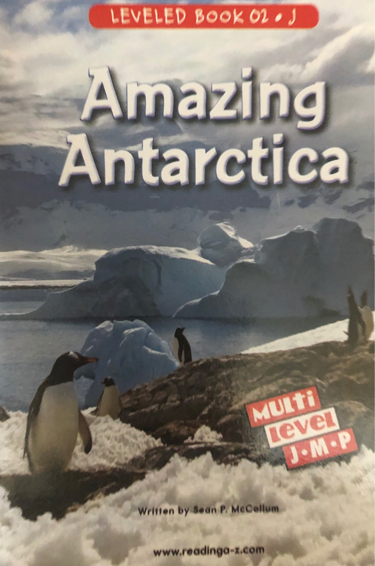 Amazing antarctic