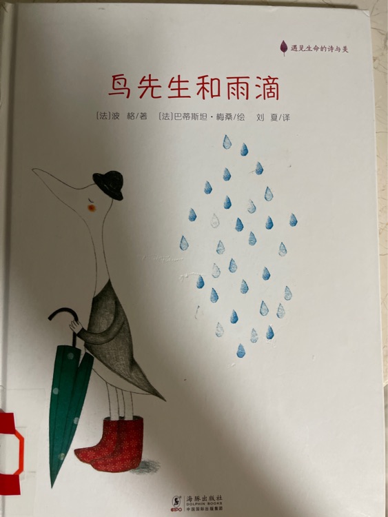 鳥(niǎo)先生和雨滴