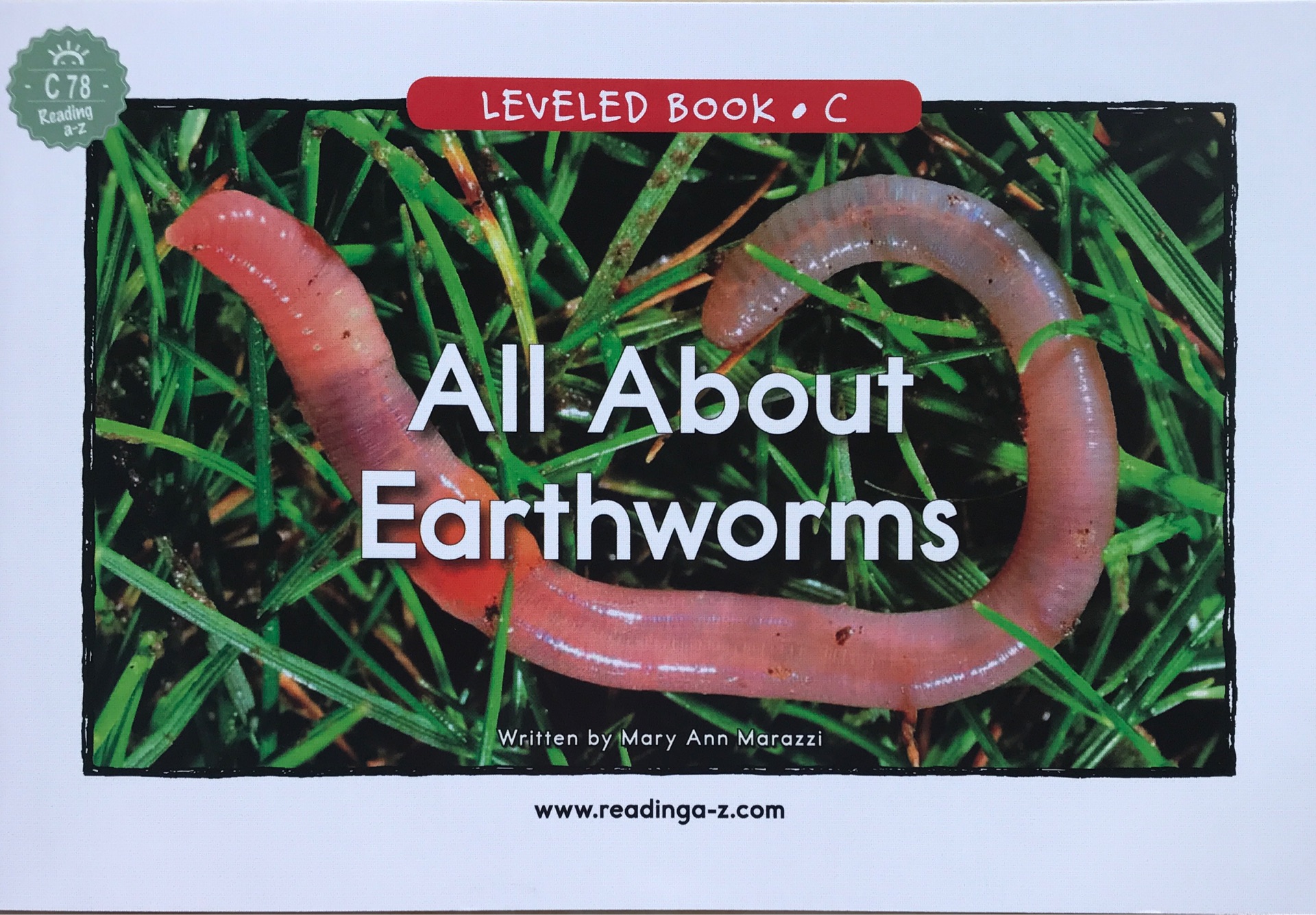 All about earthworms