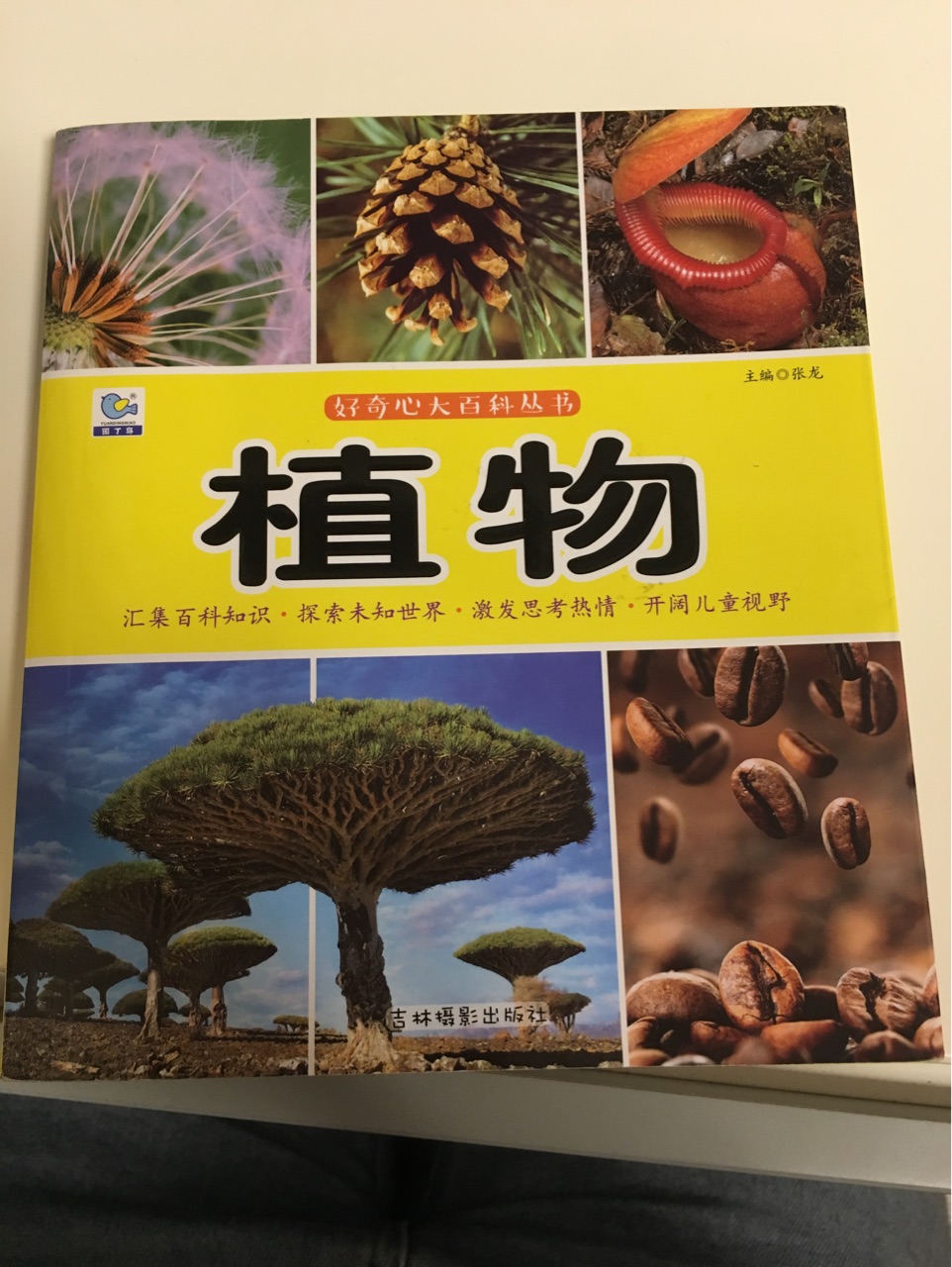 好奇心大百科叢書-植物