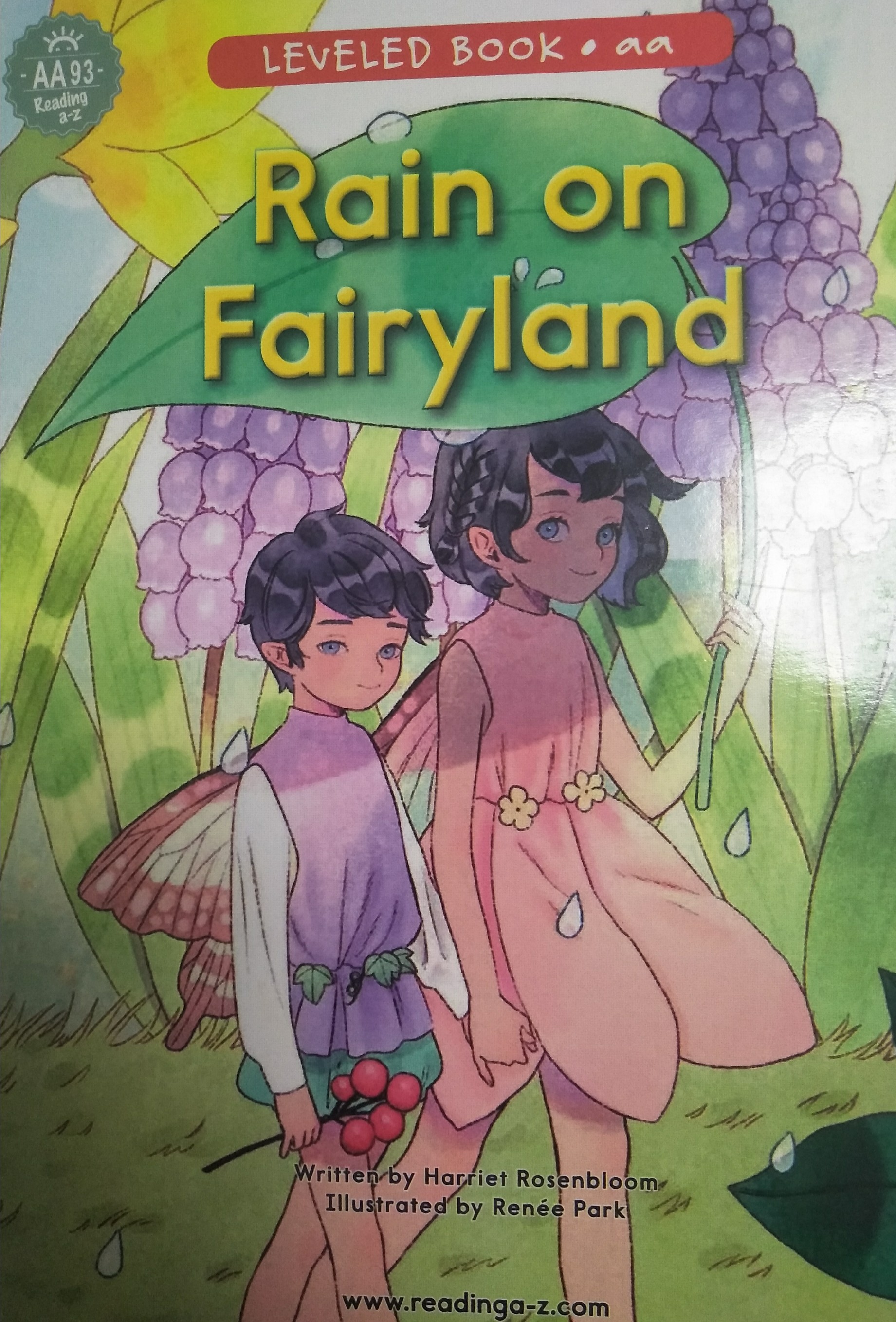 aa93 rain on fairyland