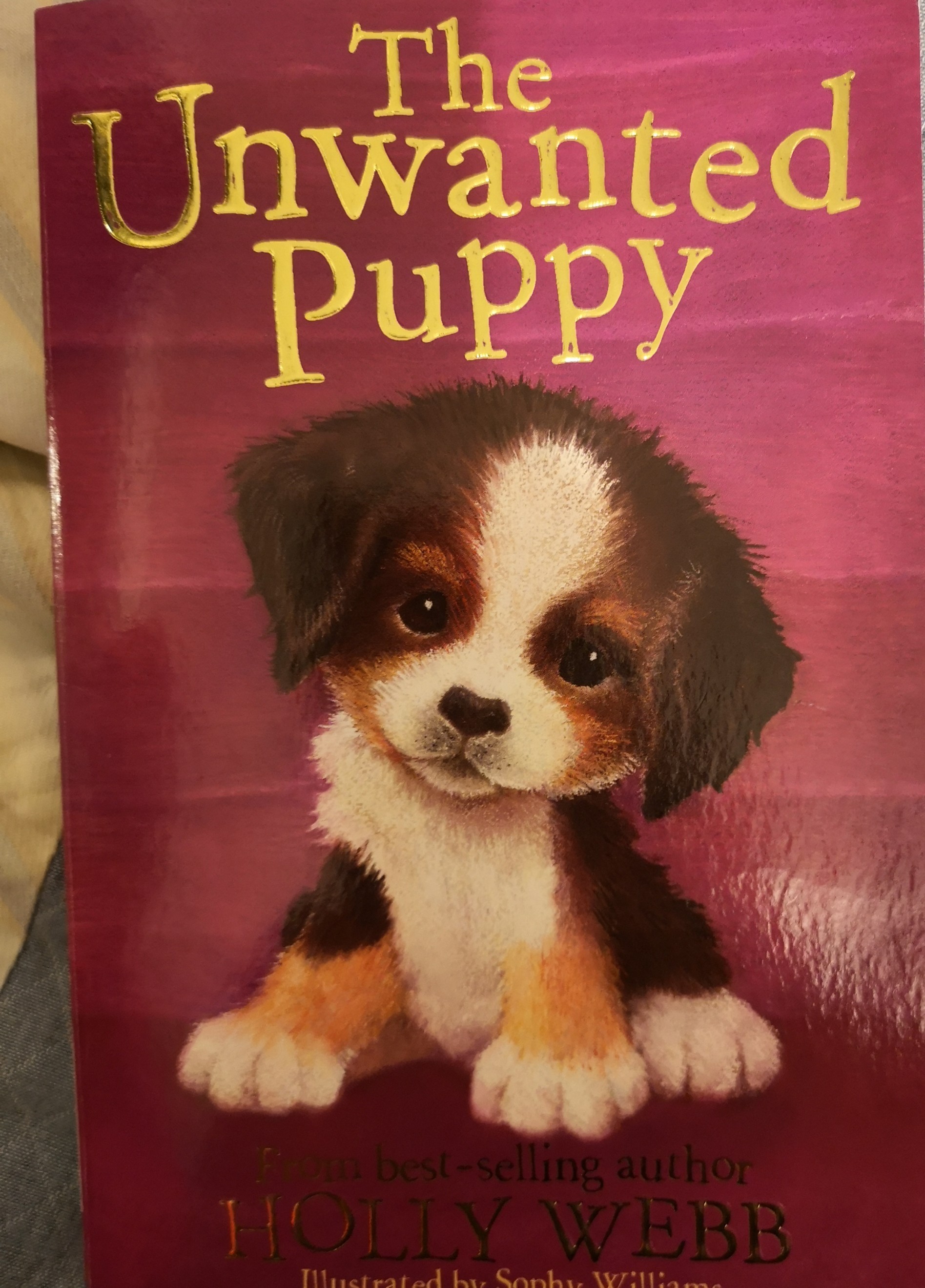 The Unwanted Puppy