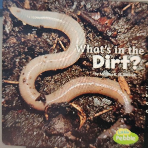 What's in the dirt?