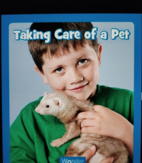 Taking Care of a Pet