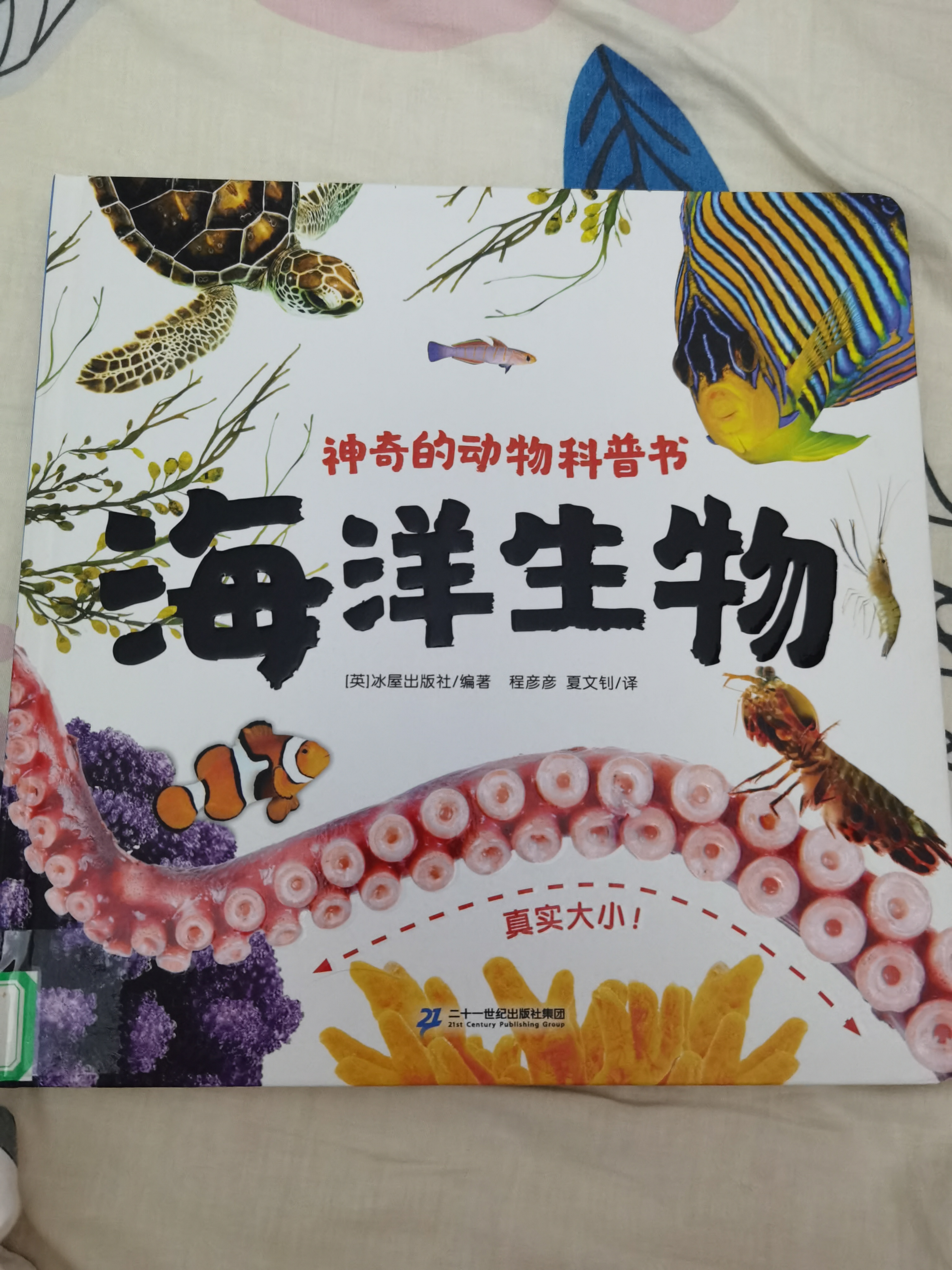 海洋生物