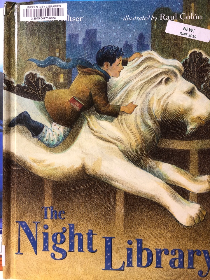 The night library