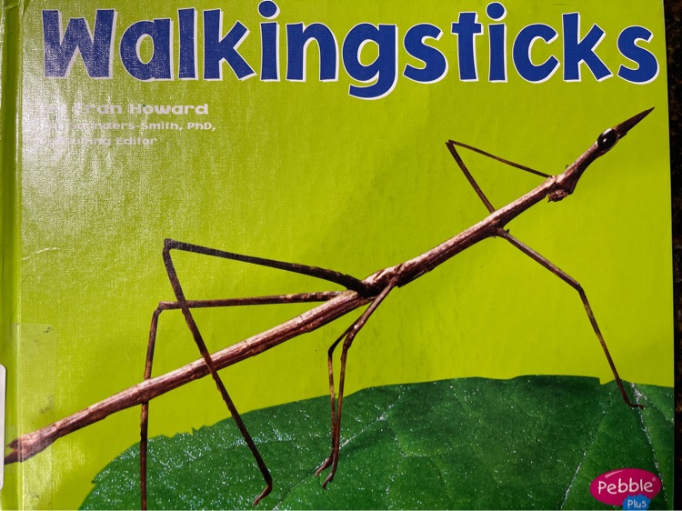 Walkingsticks