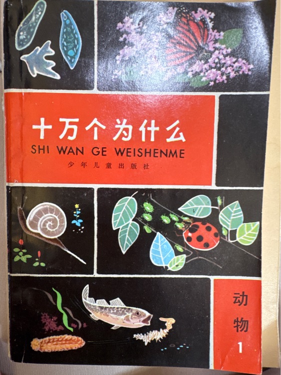 十萬(wàn)個(gè)為什么