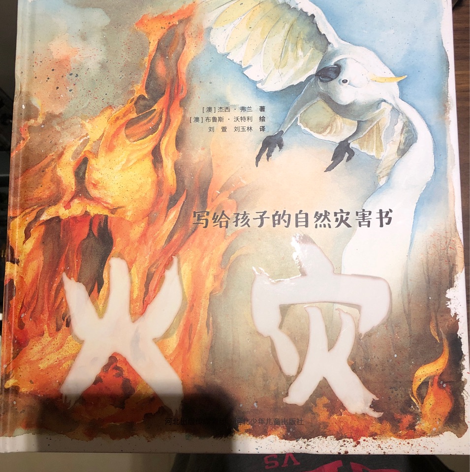 寫給孩子的自然災害書: 火災