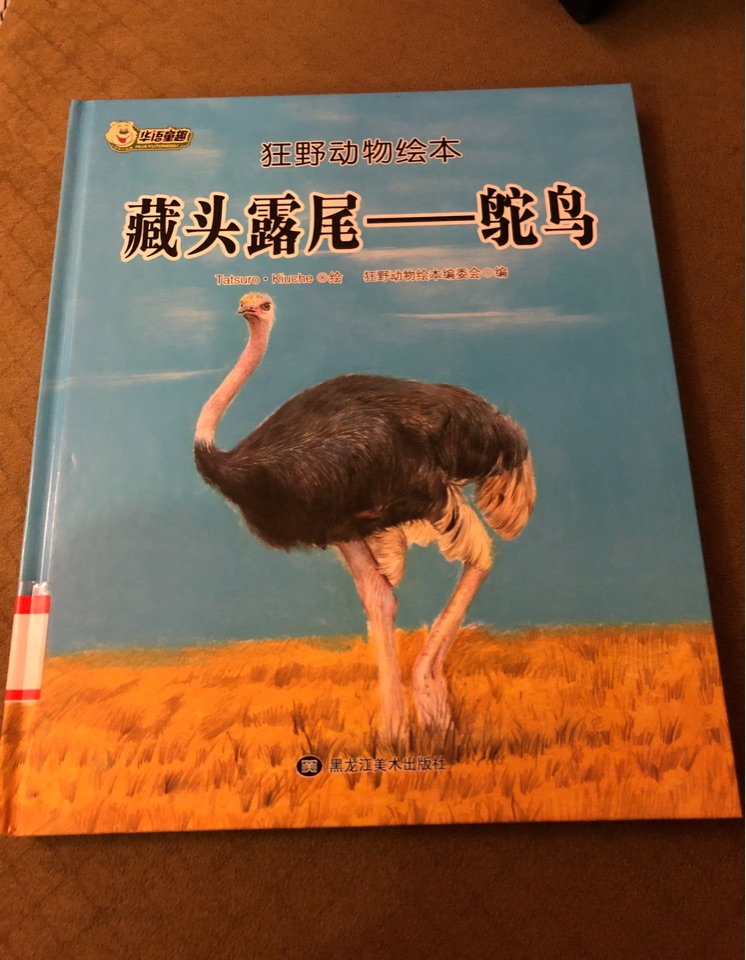 藏頭露尾——鴕鳥