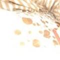 王Wei