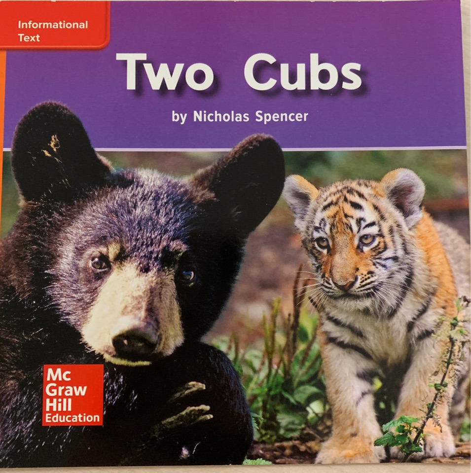 Two Cubs