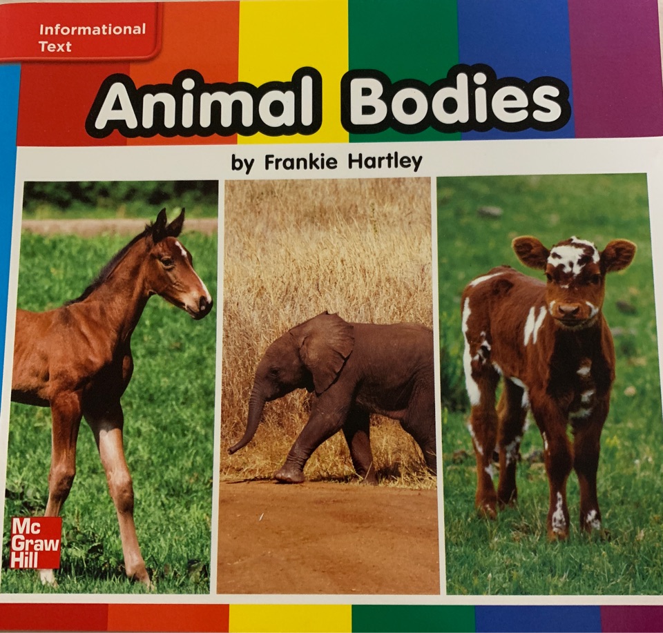 Animal Bodies