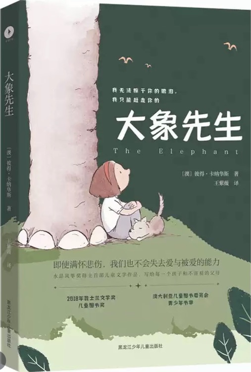 大象先生