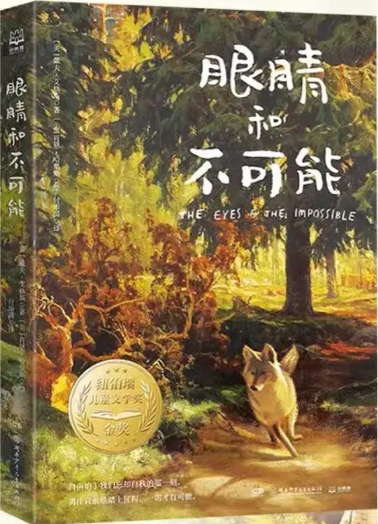 眼睛和不可能