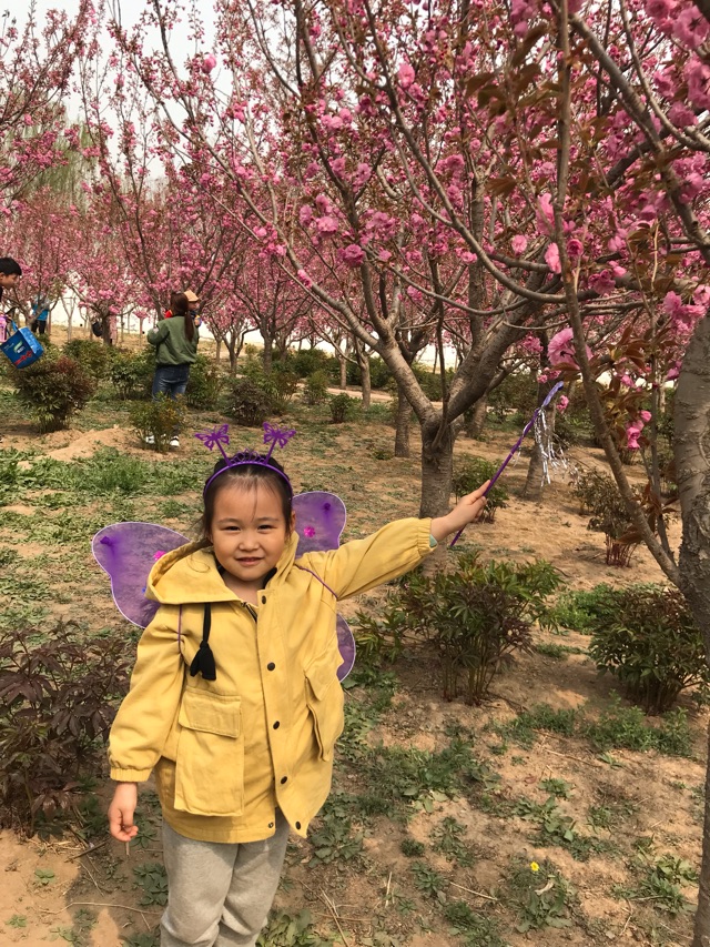 2019.04.06～D97