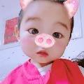 小小曲奇