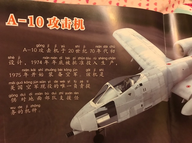 安安打卡1