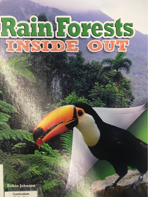 Rain Forest Inside Out