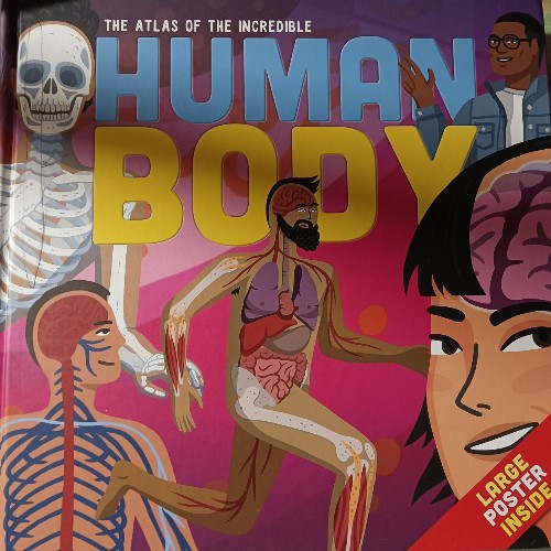 the atlas of the incredible human body