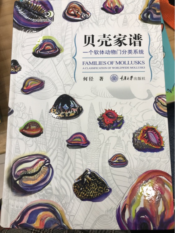 貝殼家譜