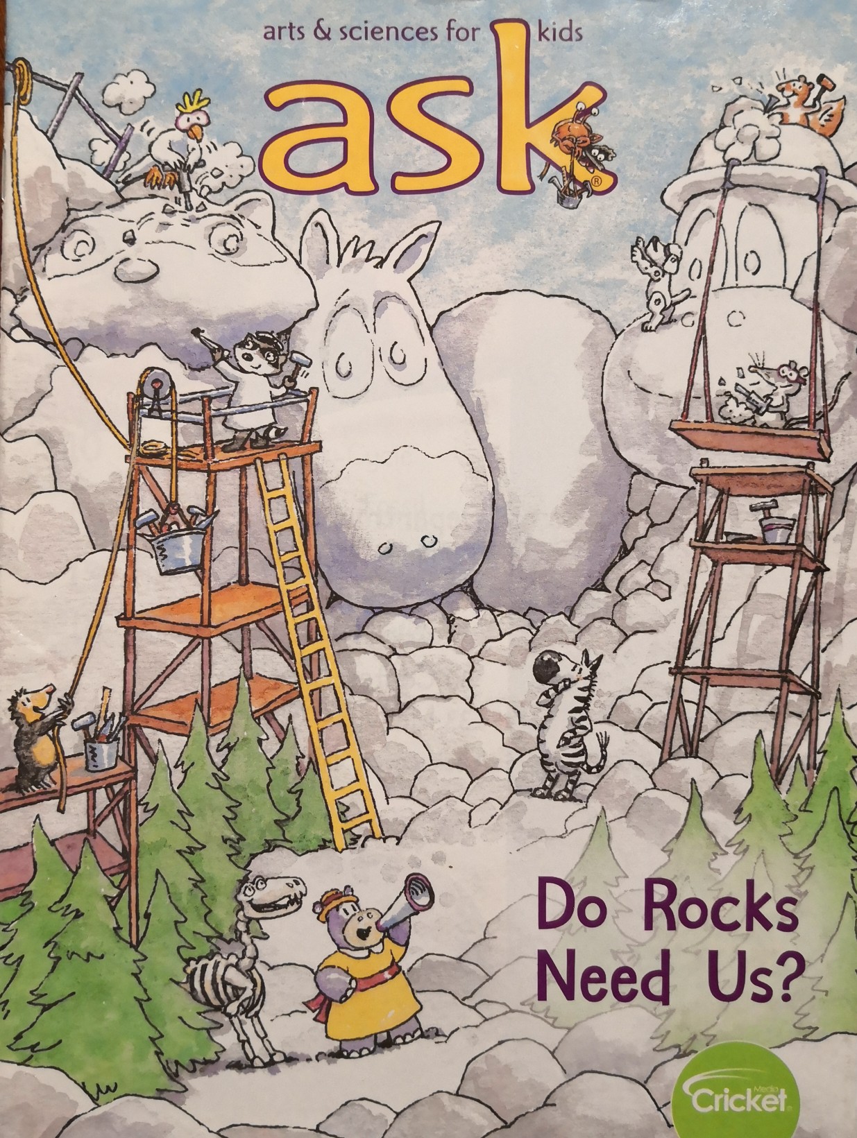 ask  Do Rocks Need Us?