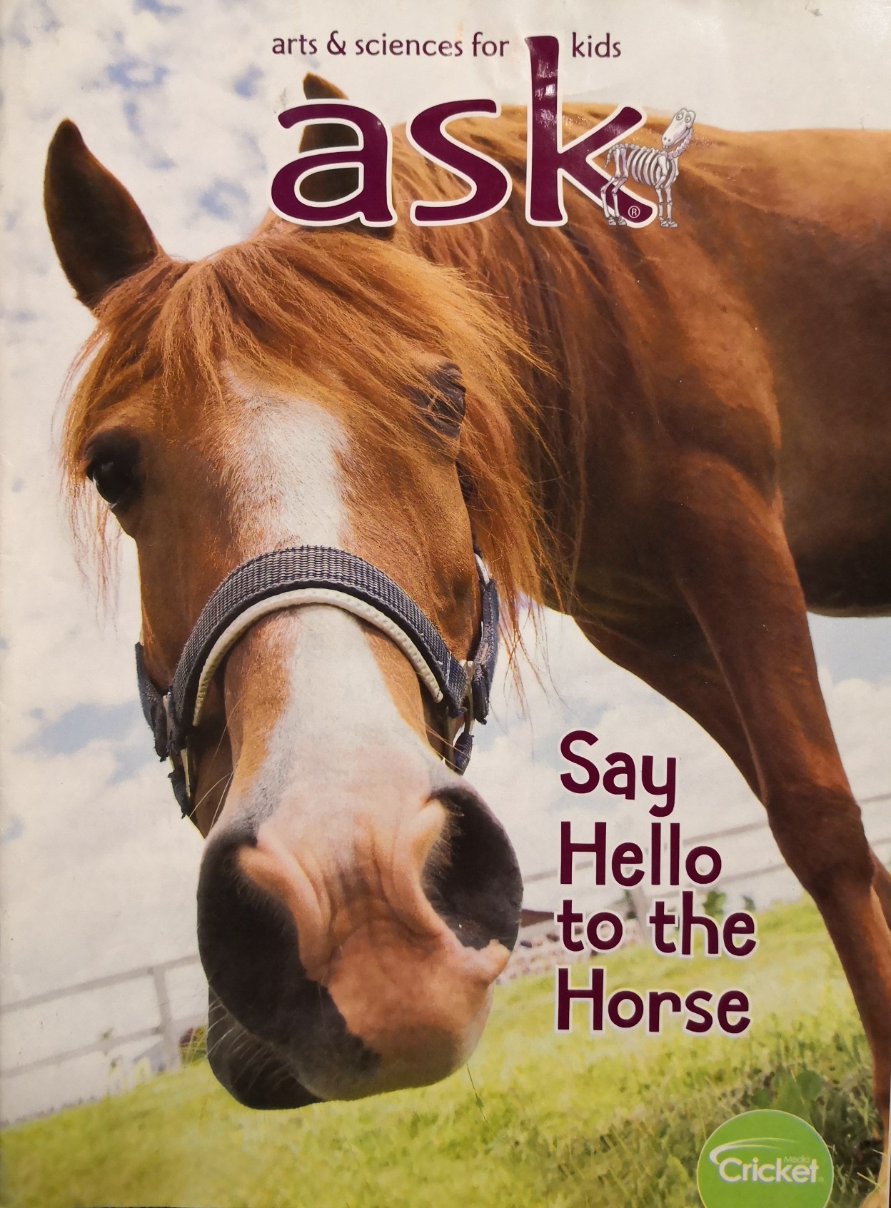 ask  Say Hello to the Horse