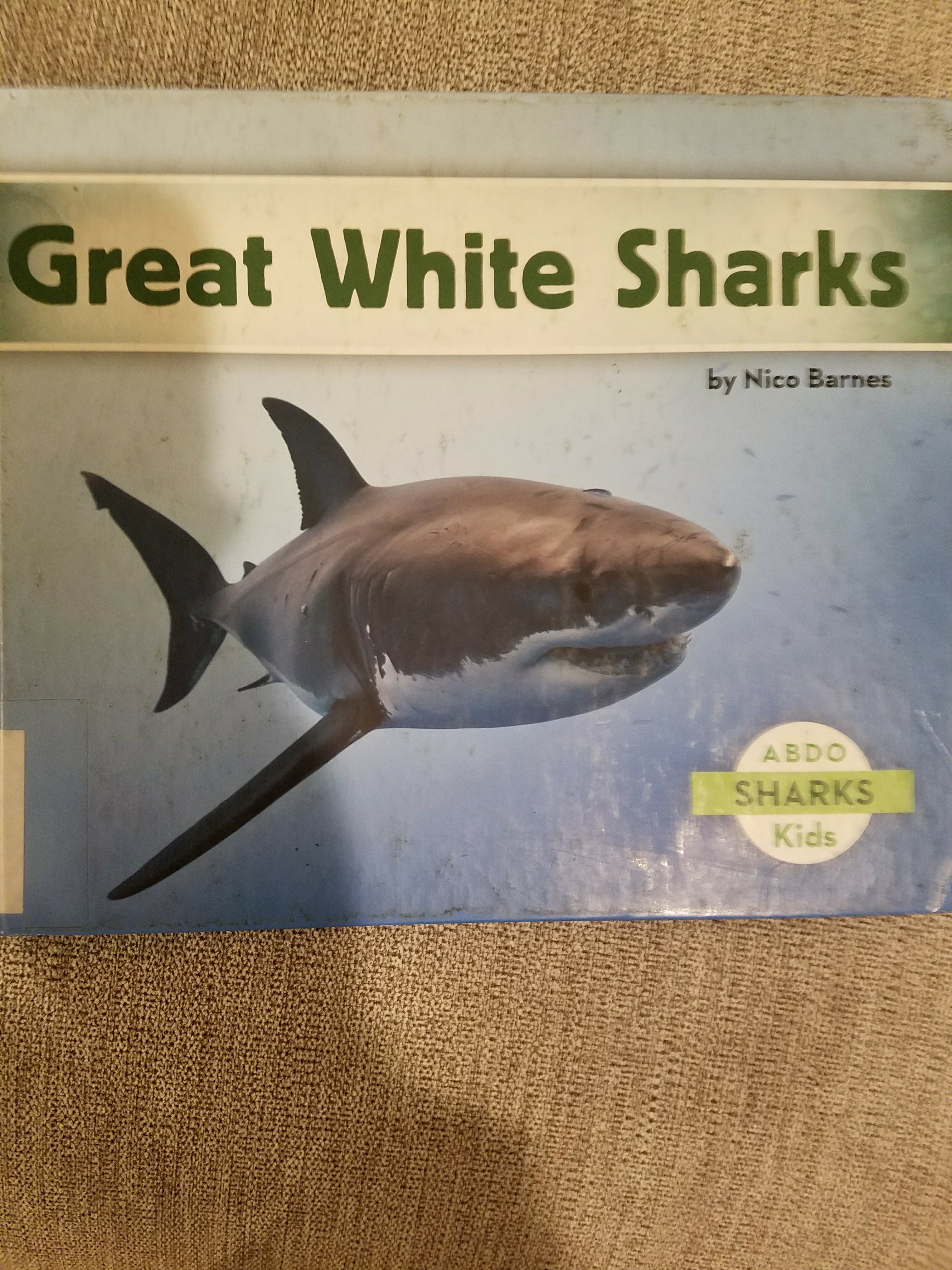 Great white shark