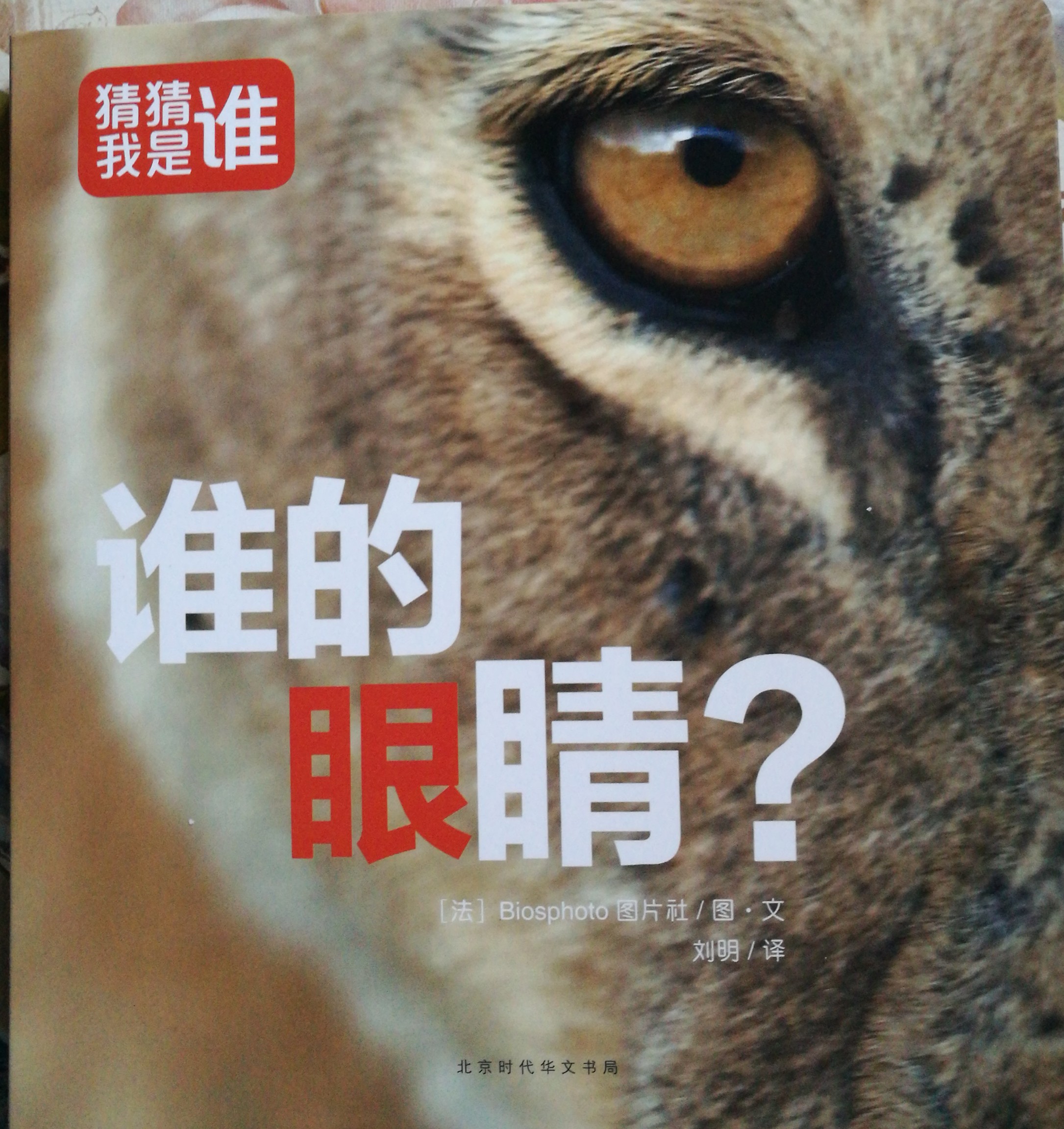 猜猜我是誰? 誰的眼睛?