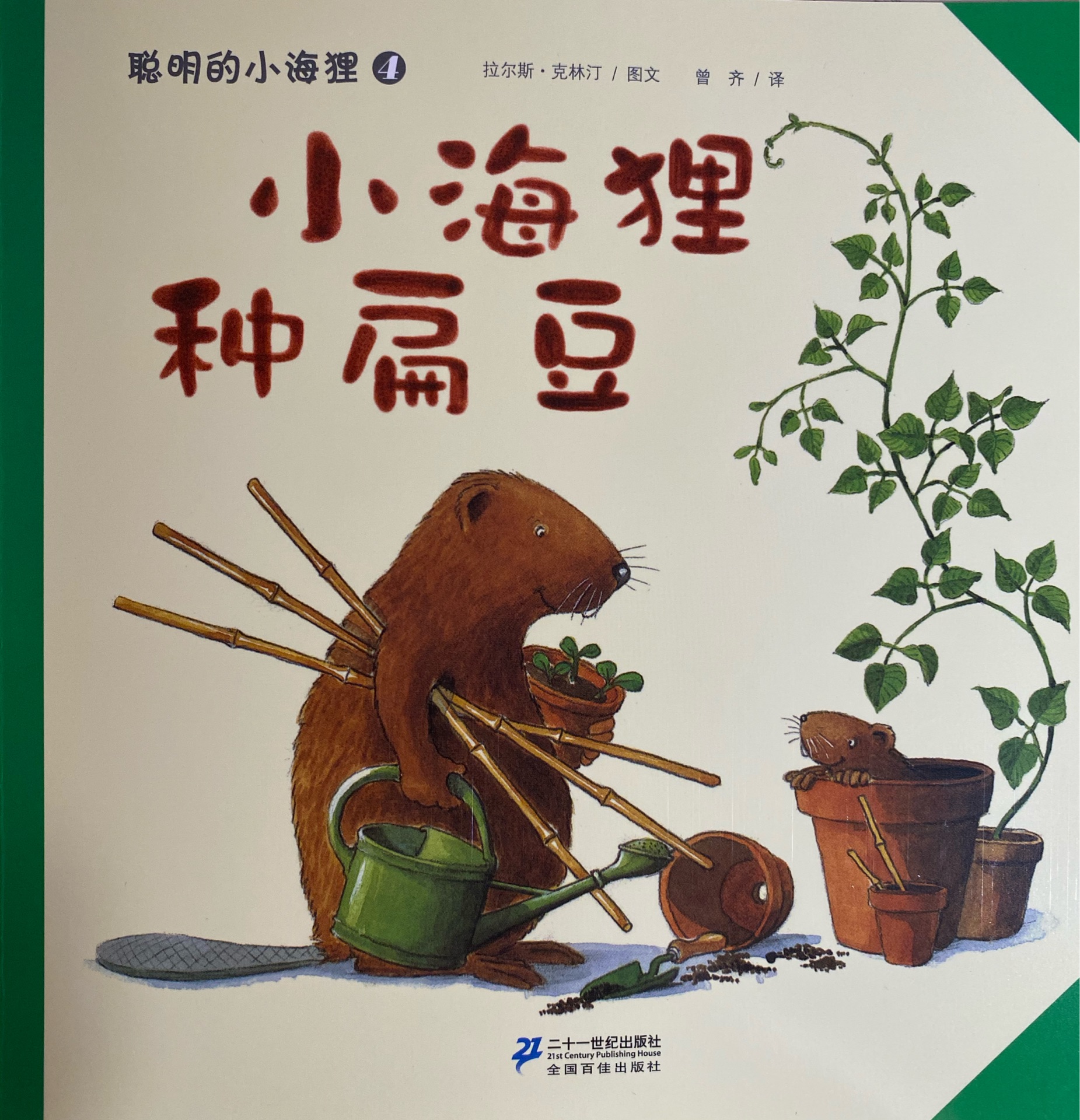 小海貍種扁豆