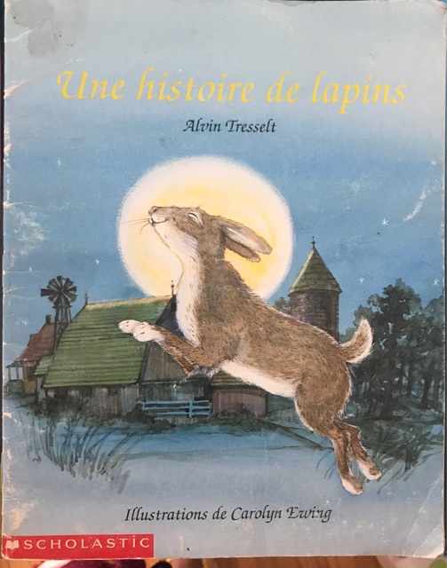 Une Histoire de Lapins