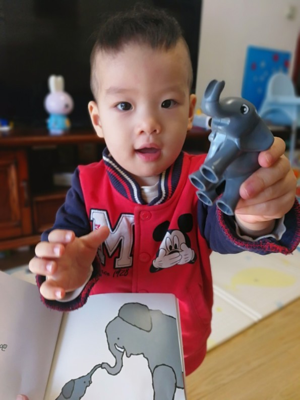 阅读小日记