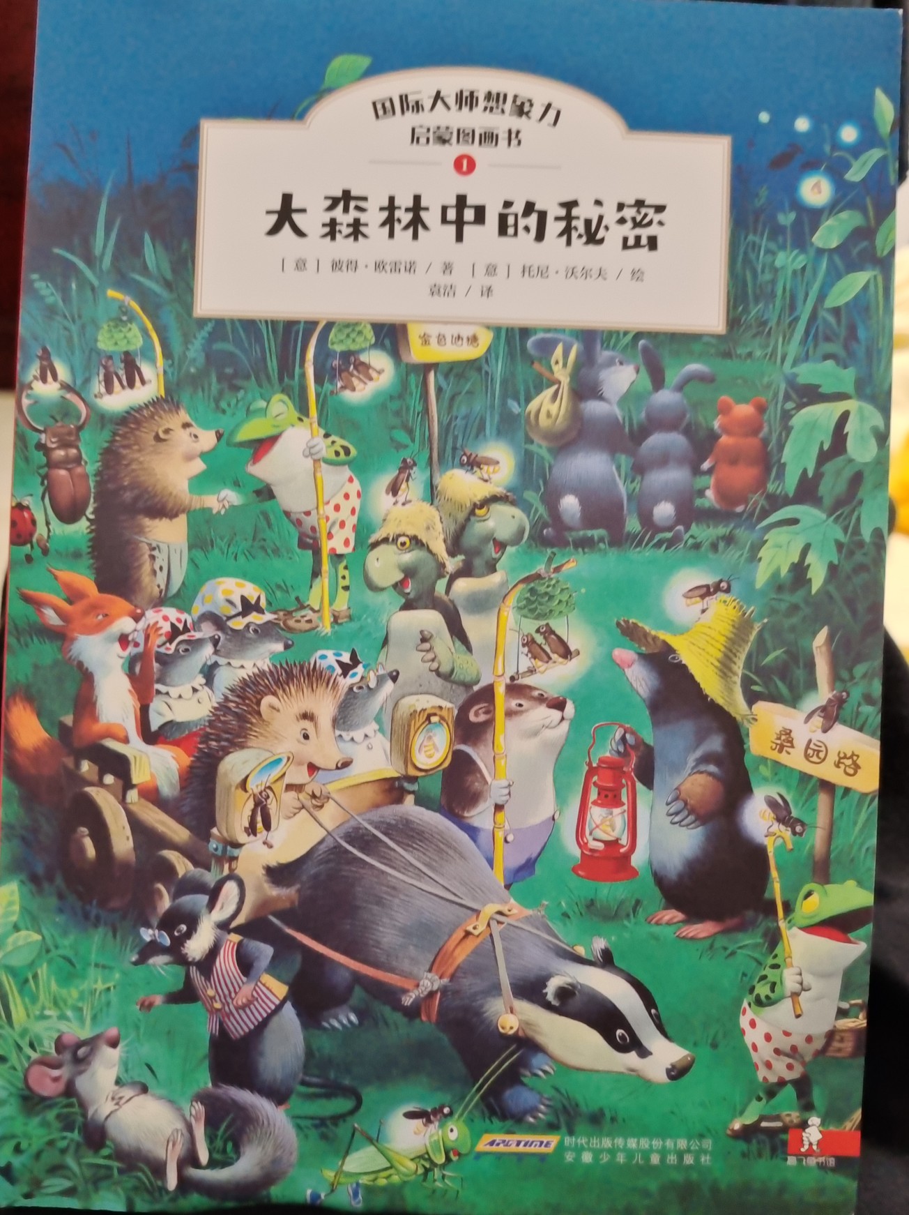 國際大師想象力啟蒙圖畫書: 大森林中的秘密