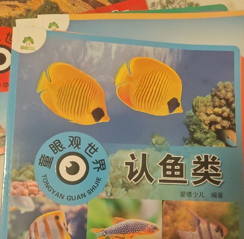 認(rèn)魚類