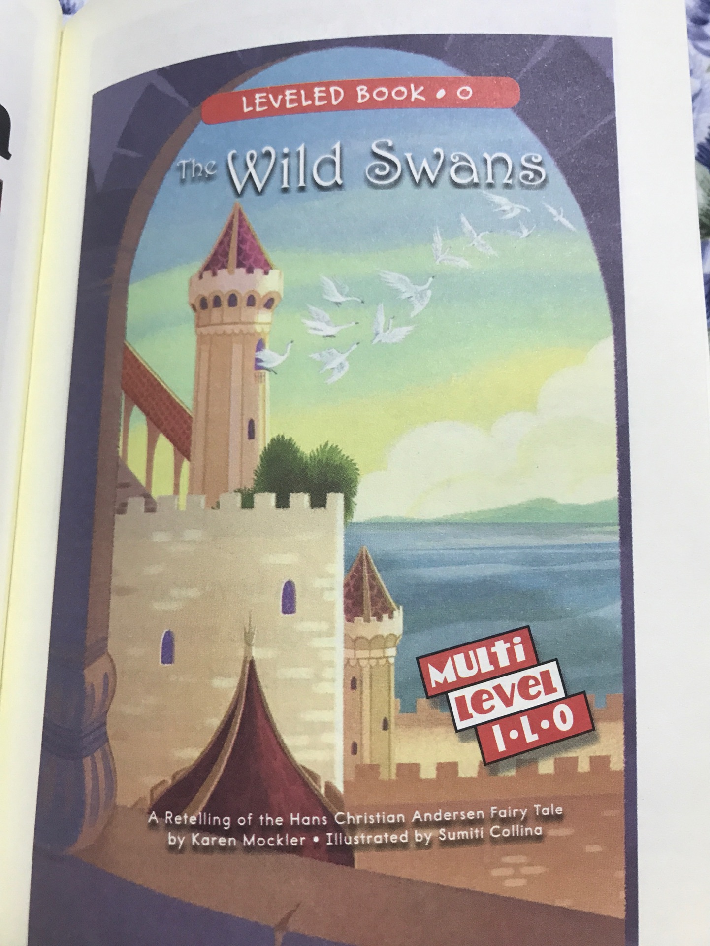 The Wild Swans