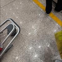 陈嘎嘎
