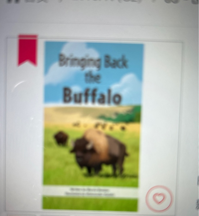 Bringing Back the Buffalo