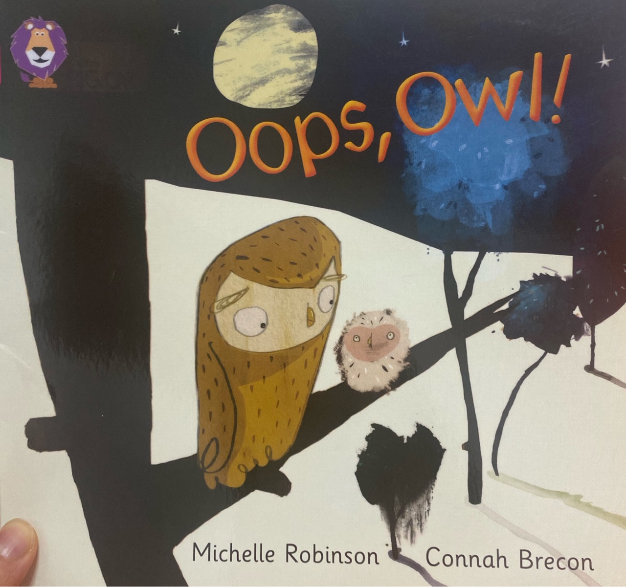 Oops owl