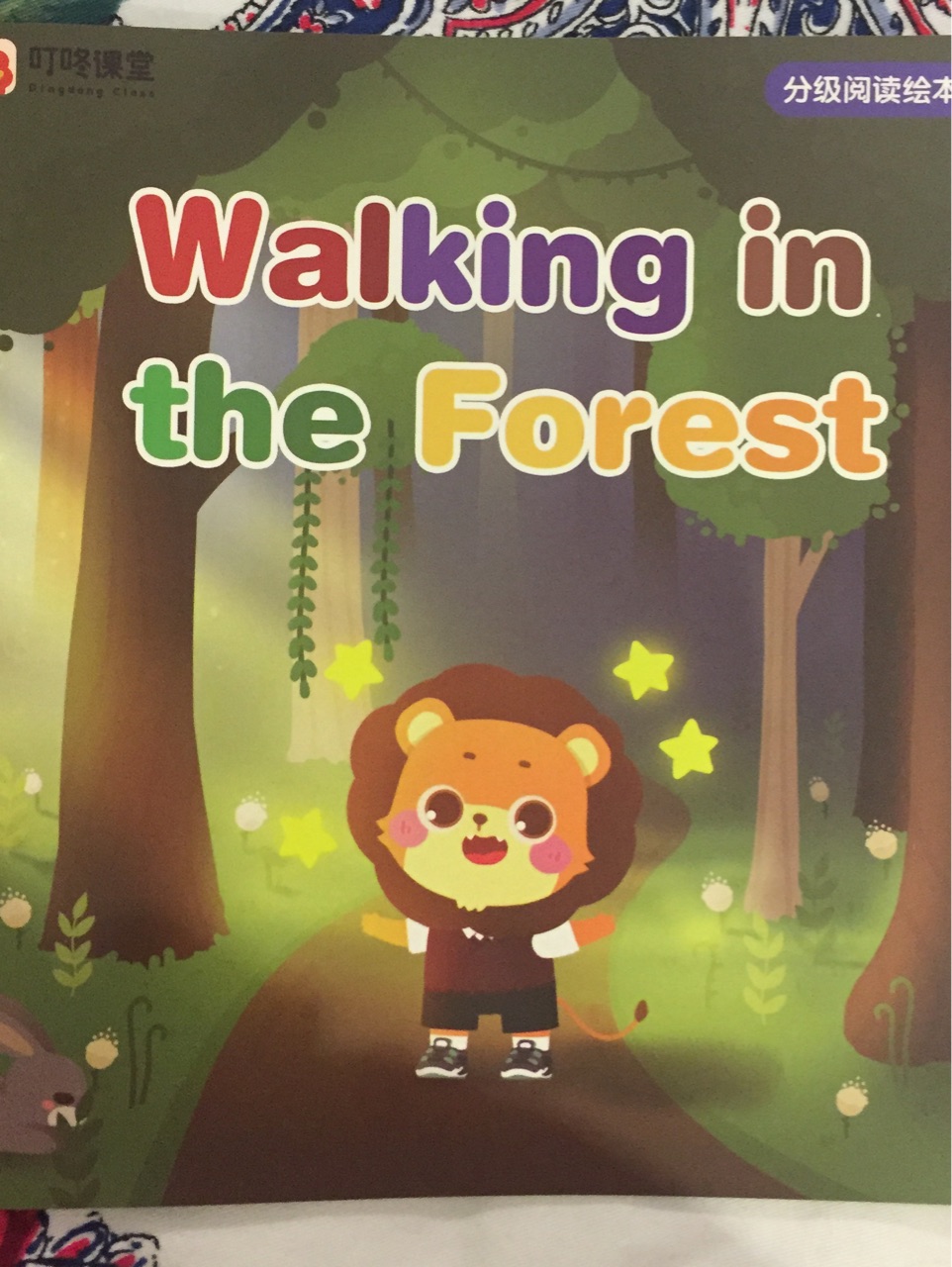 Walking in the Forest