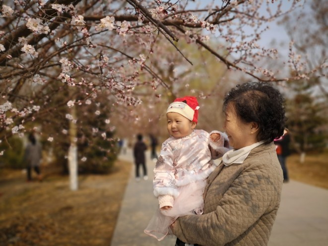 桃花堤之游（2019