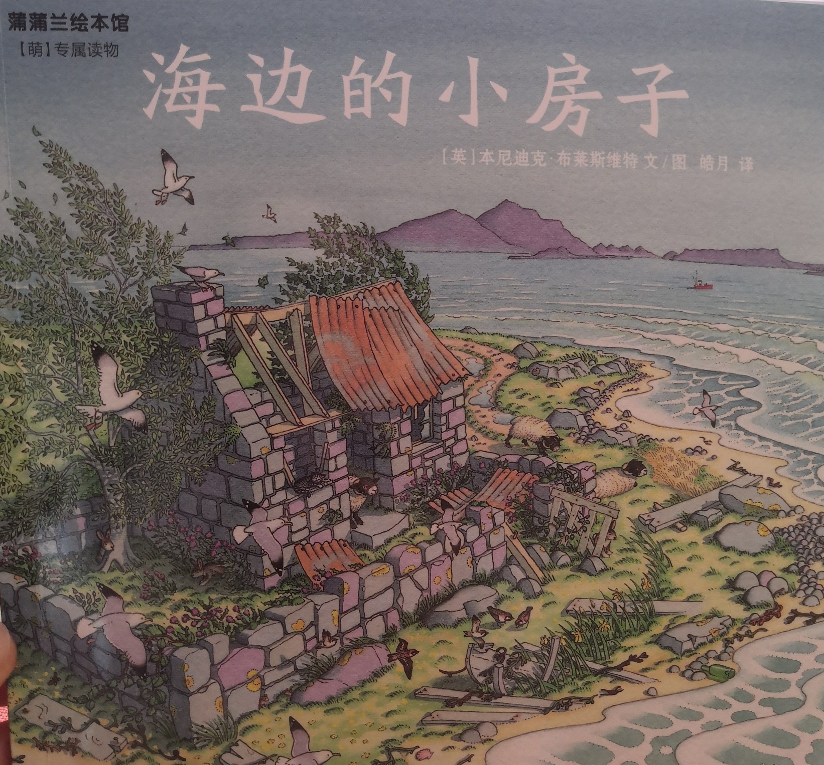 海邊的小房子