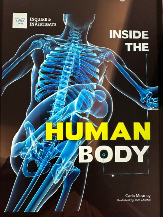 Inside the Human body