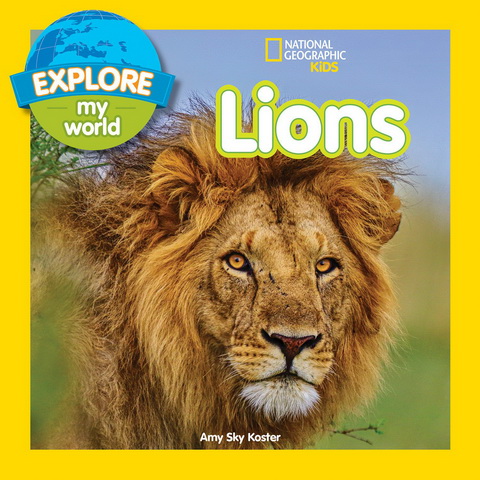 EXPLORE LIONS