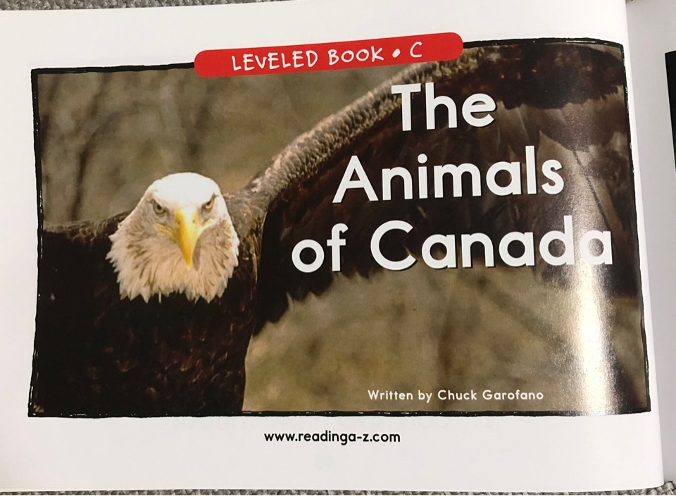 the animals of canada