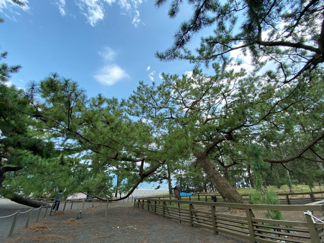 十一河口湖伊東六