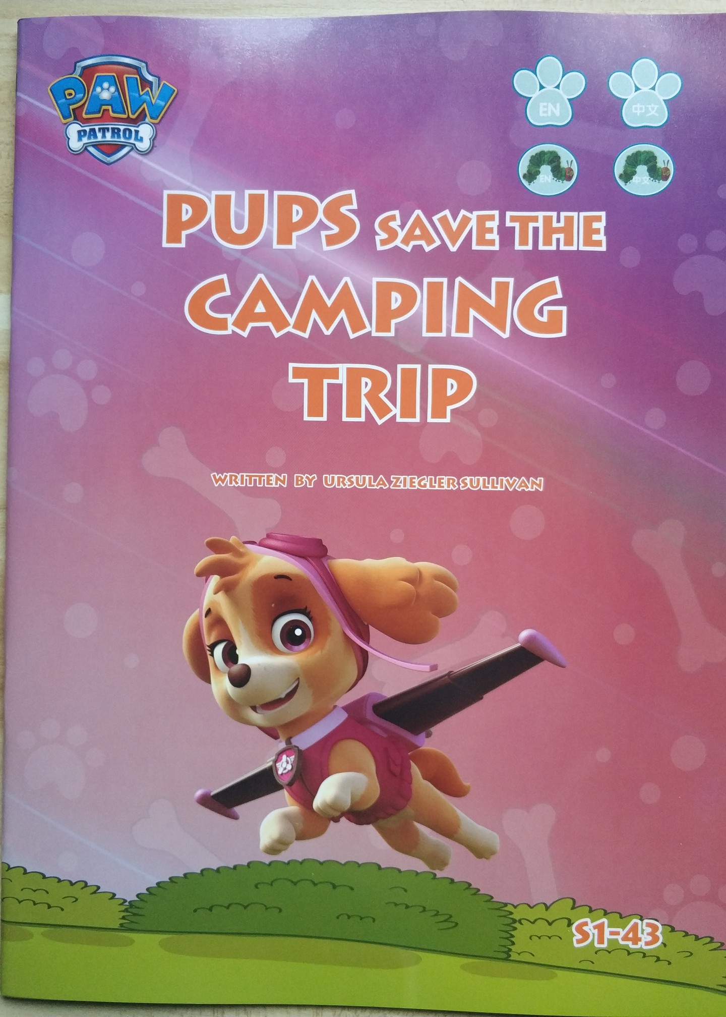 汪汪隊S1-43: Pups Save the Camping Trip 露營去