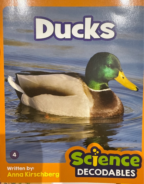 Ducks