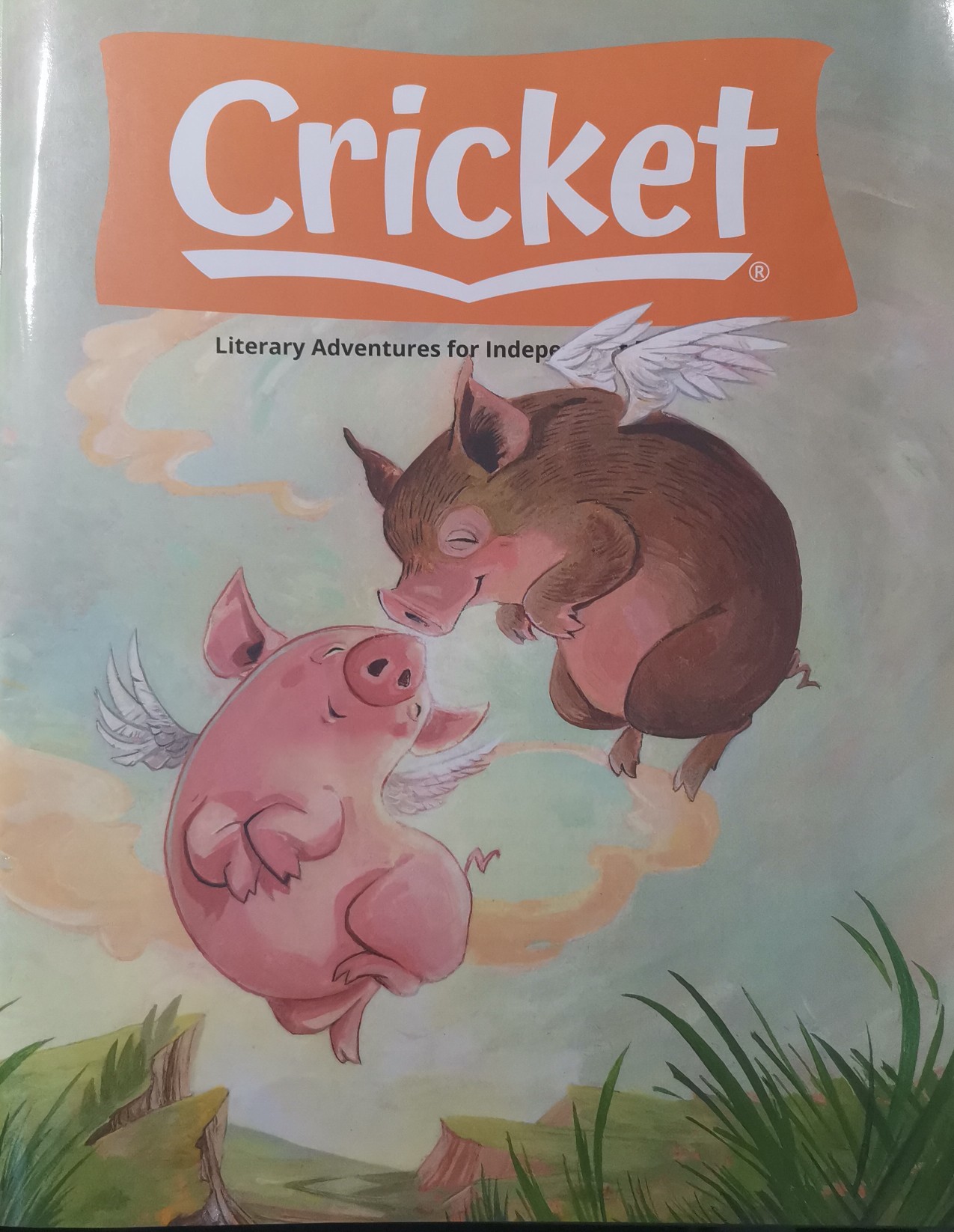 Cricket February 2021